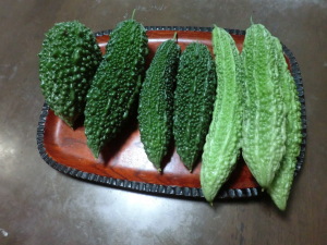 ゴーヤ３種類